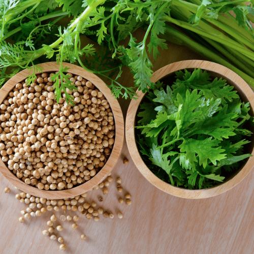 dhania powder online india dhania powder online india